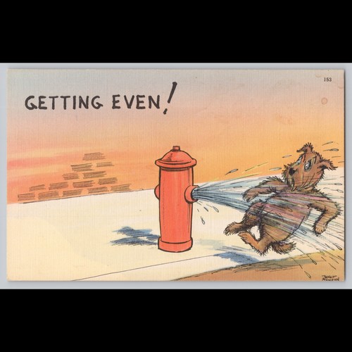 Postcard getting even dog - even, and