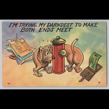 Postcard Humor Dog Trying to