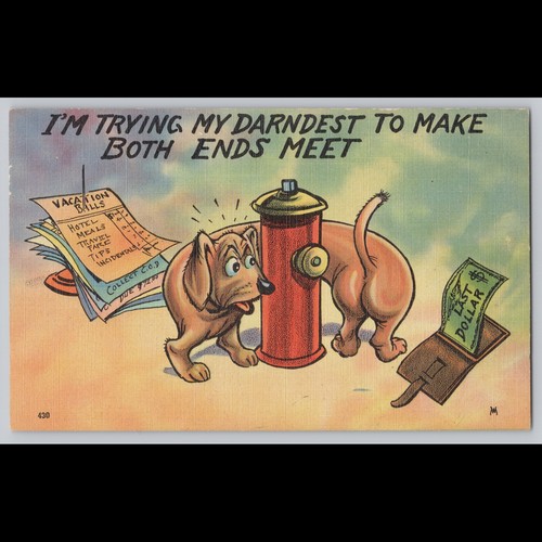 Postcard humor dog - postcard,